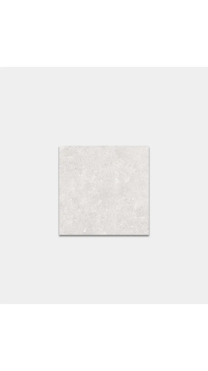 Porcelain Matt Tile