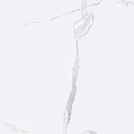 d5e622c8-1a16-406d-81dc-20b909baa412